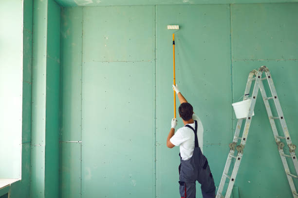 Best Emergency Mold Remediation  in Fostoria, OH