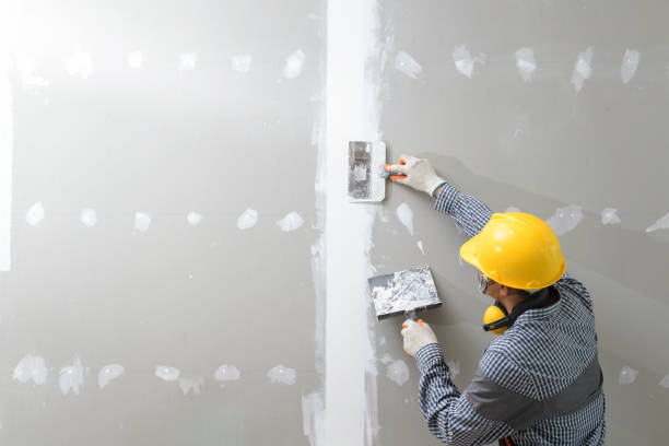 Best Asbestos and Lead Testing During Mold Inspection  in Fostoria, OH