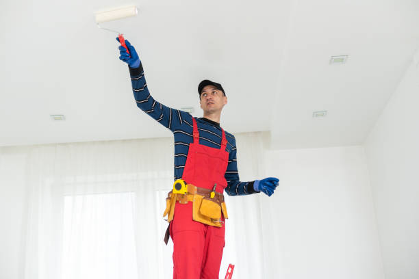 Best Mold Removal for HVAC Installations  in Fostoria, OH