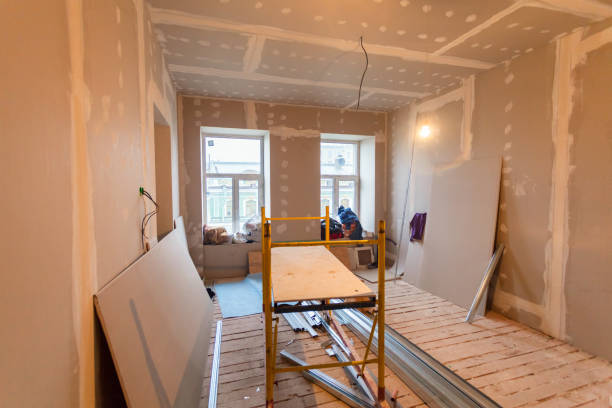 Best Attic Mold Removal  in Fostoria, OH